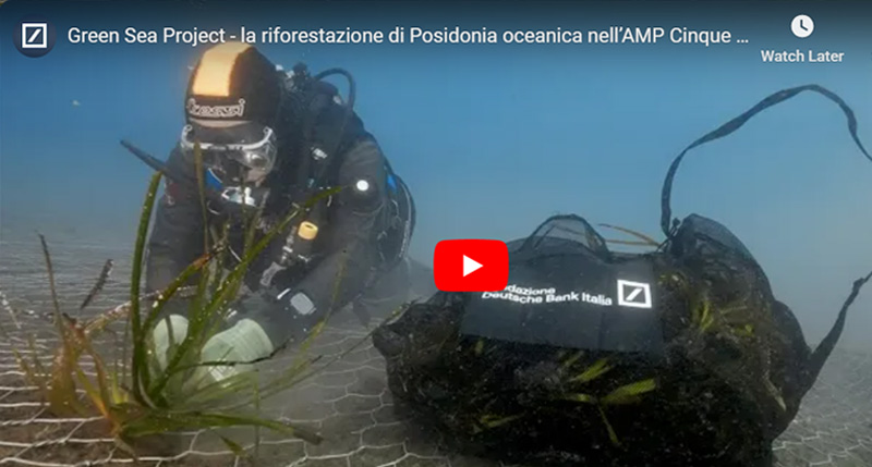 dbmagazine-VIDEO-Green-Sea-Project-entra-nel-vivo